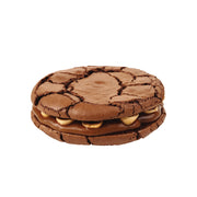 შოკოლადის ორცხობილა კარამელით და თხილით